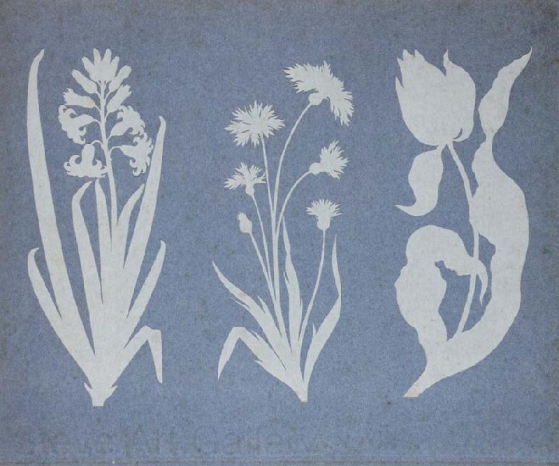 Philipp Otto Runge Hyacinth,Cornflower,Tulip